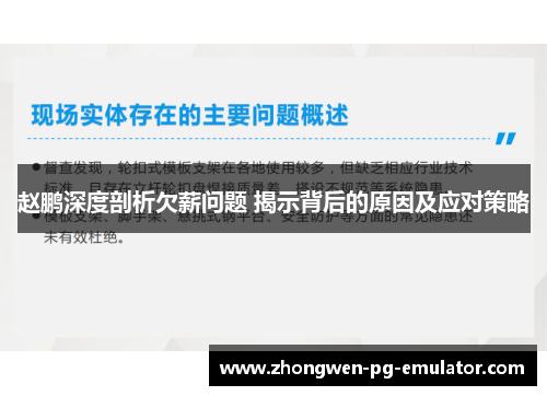 赵鹏深度剖析欠薪问题 揭示背后的原因及应对策略
