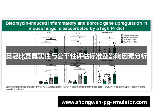 英冠比赛真实性与公平性评估标准及影响因素分析