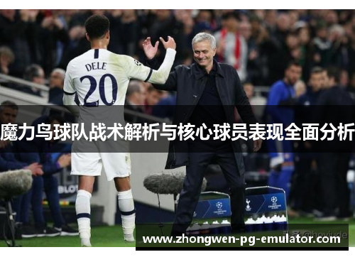 魔力鸟球队战术解析与核心球员表现全面分析